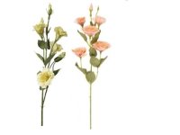 Eustoma (Jícnovka) 85cm žlutá/růžová